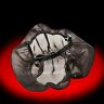 1011-3242 Arlen Ness Pre Filter Big Sucker Rain Sock Stage Textile