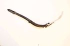 1018969-626 1018969 Polaris 2014 Indian