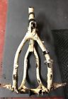 50100-ka4-831za Honda Frame