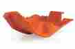 737758 Acerbis Ktm 300 Xc Xcw 2004 Thru 2014 Orange Skid Plate