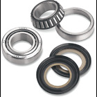 Pu0410-0021 Steering Stem Bearings Tapered