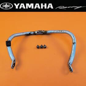 4gy-21471-00-00 Yamaha 99-06 2006 Ttr250 Tt R250 Engine Guard Motor Protector