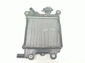 Gf30 Yamaha 15 Smax Radiator