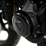 R&g Racing Carbon Fibre Engine Case Sliders Lhs ECS0163CG. Fixed Price $281.78.