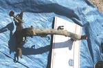 1973-75 Honda Mr 50 Oem Frame W/kickstand. Fixed Price $181.94.
