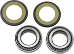 1987-1995 Bmw R100GSPD Motorcycle Balls Steering Bearing Kit. Fixed Price $46.94.