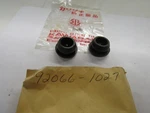 Nos Kawasaki 1980-1985 KZ1300 KLT250 Frame End Plugs Part# 92066-1027. Fixed Price $10.66.