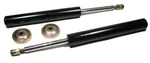 Polaris Xplorer 400L, 1995 1996 1997, Front Gas Shocks / Struts, Pair -. Fixed Price $109.99.