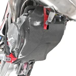 P3 Carbon Fiber Skid Plate 670-304061. Fixed Price $75.14.