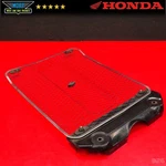 1976 Honda Goldwing GL1000 Radiator Guard Grille Cover Oem 76-79. Fixed Price $14.99.