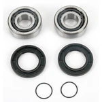 Moose Swingarm Pivot Bearing Kit A28-1058. Fixed Price $39.95.