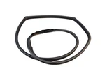 Rear Left Entrance Door Frame Gasket For Mazda 3 (bl) 1.6 Mzr. Fixed Price $27.43.