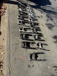 2003-2009 Suzuki SV650N Swing Arm Rear Oem Also Have 99-02 1ST Gen. Fixed Price $60.00.