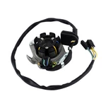 Stator For Honda Cr 250 1997 1998 Oem# 31100-KZ3-B01. Fixed Price $119.89.