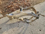 2002 Honda CR250R Frame Chassis. Fixed Price $525.99.