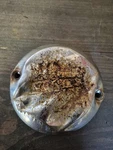 1972 Honda CB500K1A Points Cover Cap 30370-323-000. Fixed Price $5.00.