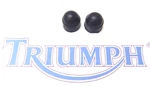 Triumph Daytona 955I Wing Mirror Mounting Bolt Caps 1 Side Only As Shown 2005. Fixed Price $10.87.
