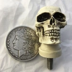 Custom Made In Usa 1/4X20 Skull Bolt Skeleton Hearse Hot Rat Street Rod 29T-B. Fixed Price $15.00.