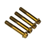 4X Bronze Titanium Front Caliper Bolts 60MM For Mv Agusta F4 312RR 1078. Fixed Price $67.00.