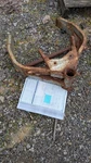 1990 Suzuki Gsx 1100 Katana Frame Chassis Neck Cln Ppr Ez Reg. Fixed Price $275.00.