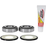 Pivot Works Steering Stem Bearing Kit (PWSSK-HD02-000) For Bmw G450X 2007-2010. Fixed Price $55.32.