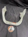 Nos V-twin 51-0932 Chrome Replica Rear Engine Crash Bar Saddlebag Guard 49150-58. Fixed Price $179.00.