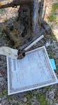 1985 1986 Yamaha Xj 700 Maxim Frame Chassis Neck Ez Reg Cln. Fixed Price $250.00.
