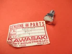 Nos Oem Original Kawasaki F9 F11 F8 Steering Stem Head Bolt 44041-007. Fixed Price $11.99.