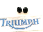 Triumph Daytona 955I Mirror Mounting Bolt Caps As Shown 2001 2006. Fixed Price $10.87.