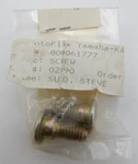 Ducati Oem P/n 00061777, Screw Tsei M8X1.25 CH6 1995 Supersport 900SS Footrest. Fixed Price $19.95.