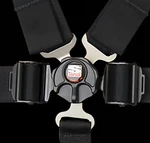 Simpson Racing 29110BKL1X L&l Harness - Camlock (lever) Sfi 16.1 55" Long. Fixed Price $306.95.